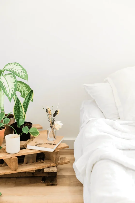 a table with plants on it